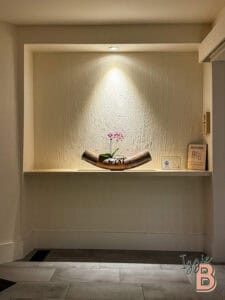 Elegant orchid plant on decorative wooden tray with spotlight.